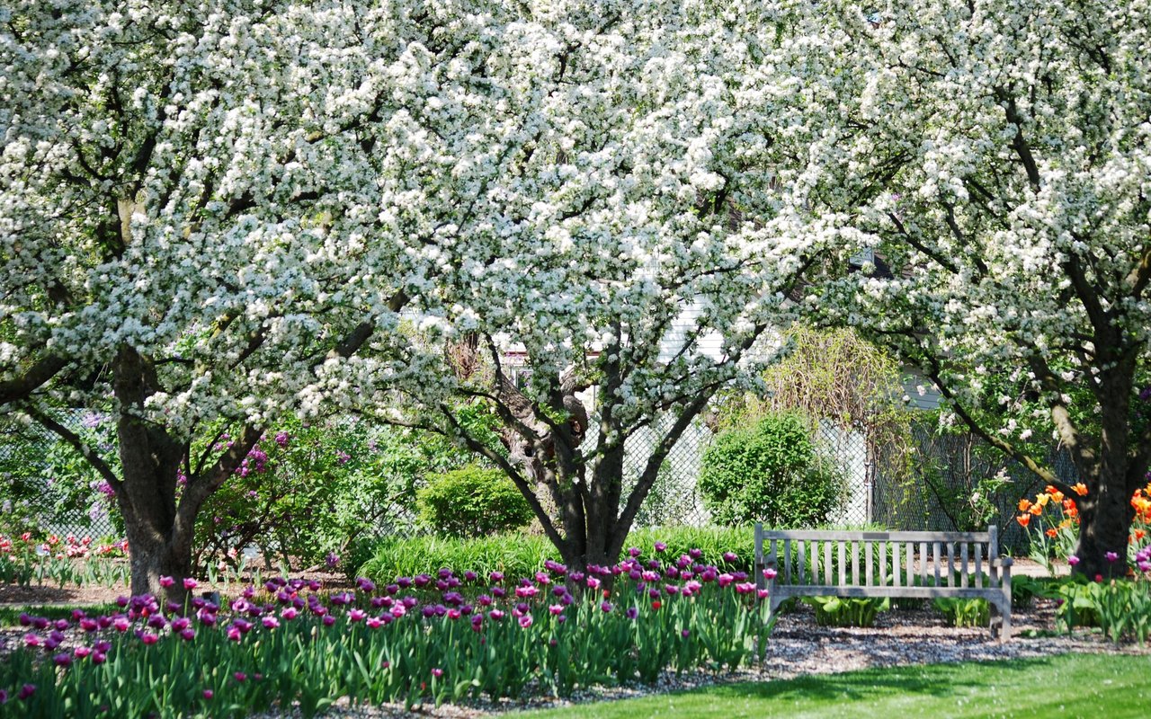 Lombard