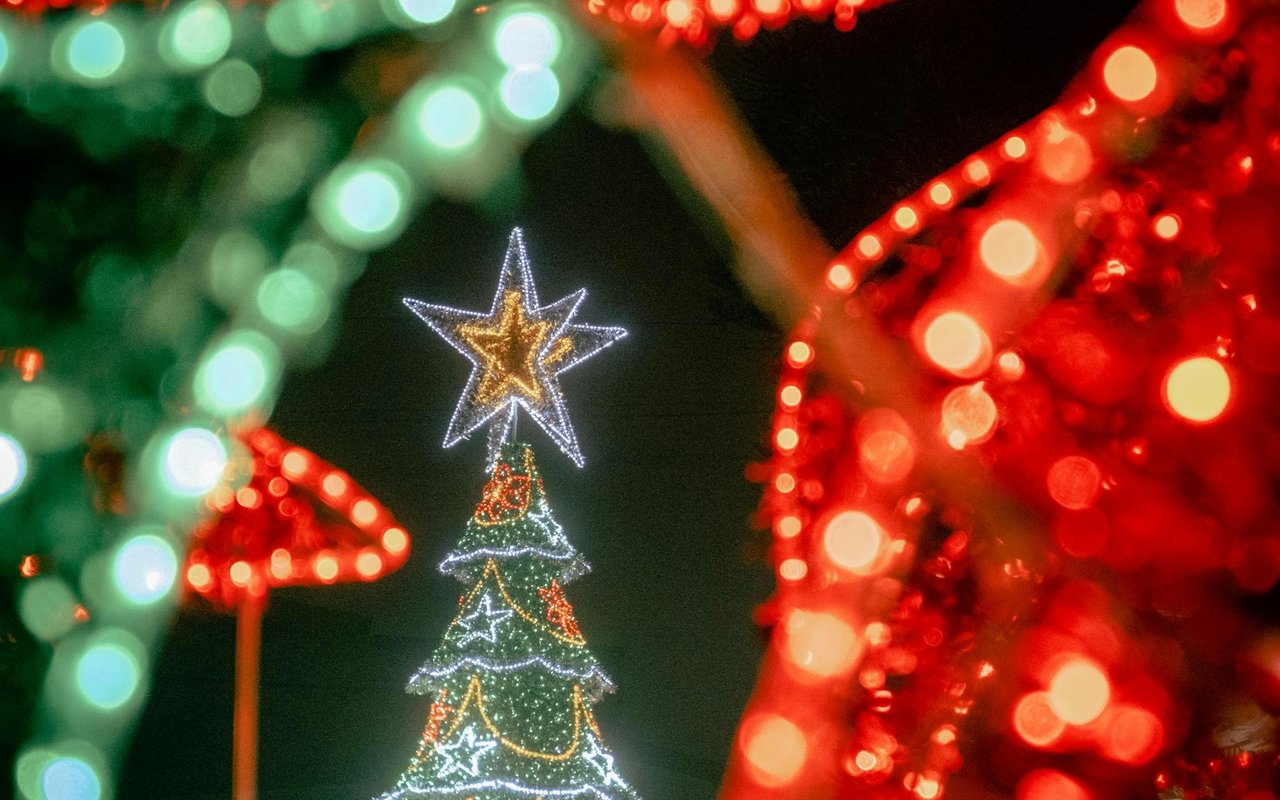 The East Bay is Lit Up! Where to See the Holiday Lights in 2024