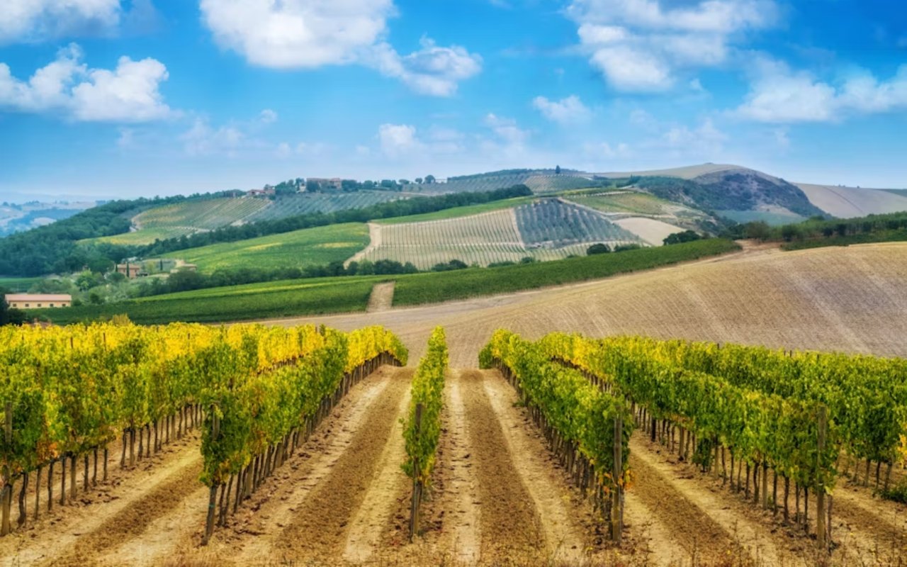 Finding Hidden Gem Homes in Napa Valley