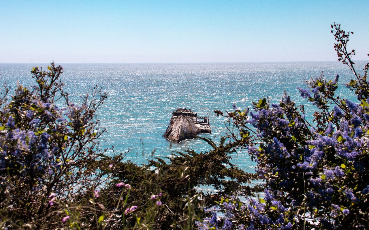 Aptos