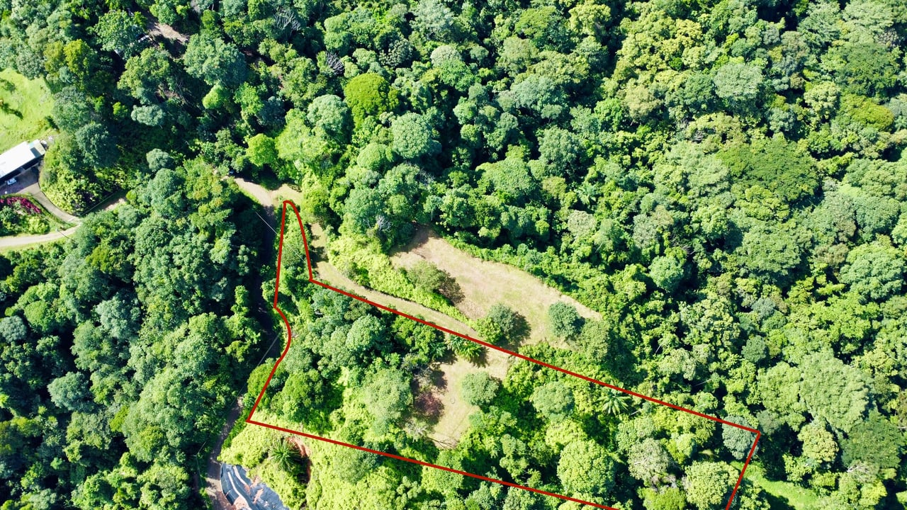 Majestic Expansive Mountain Backdrop