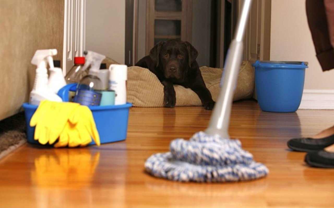 10 Resolutions for the Perfect Home Showing
