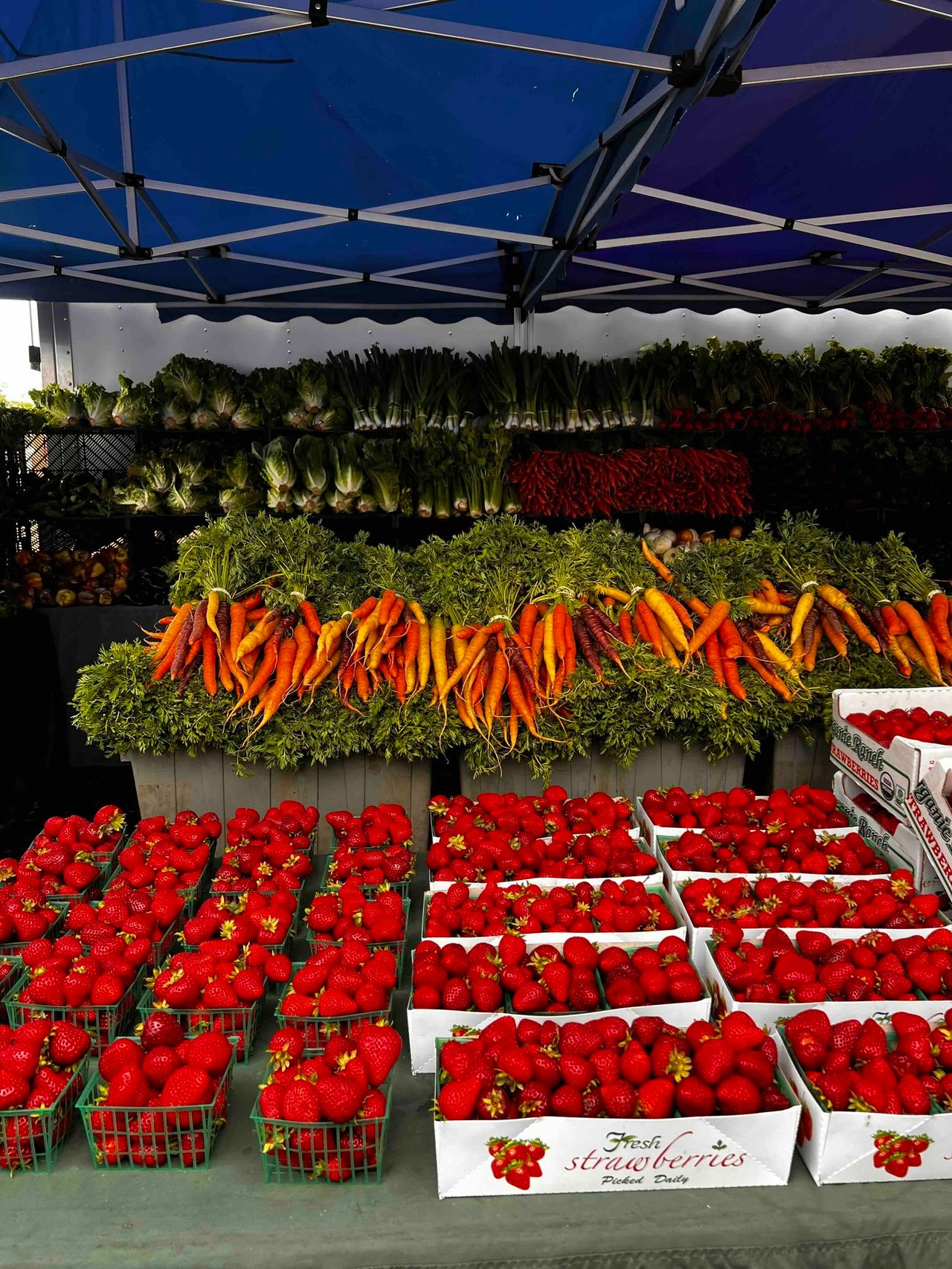 Why People Love Living in Petaluma: Charm, Community & Everyday California Living