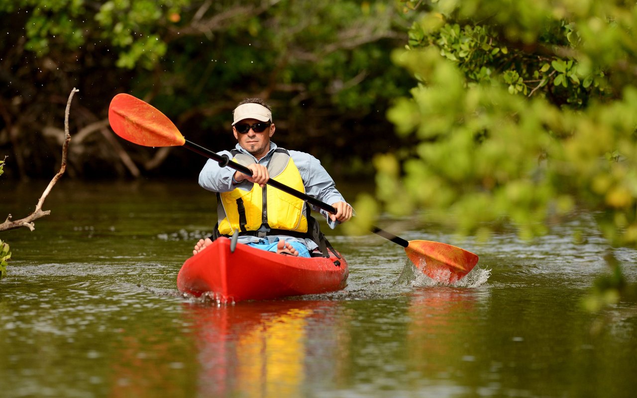 A kayaker paddles a red kayak through a leafy waterway.