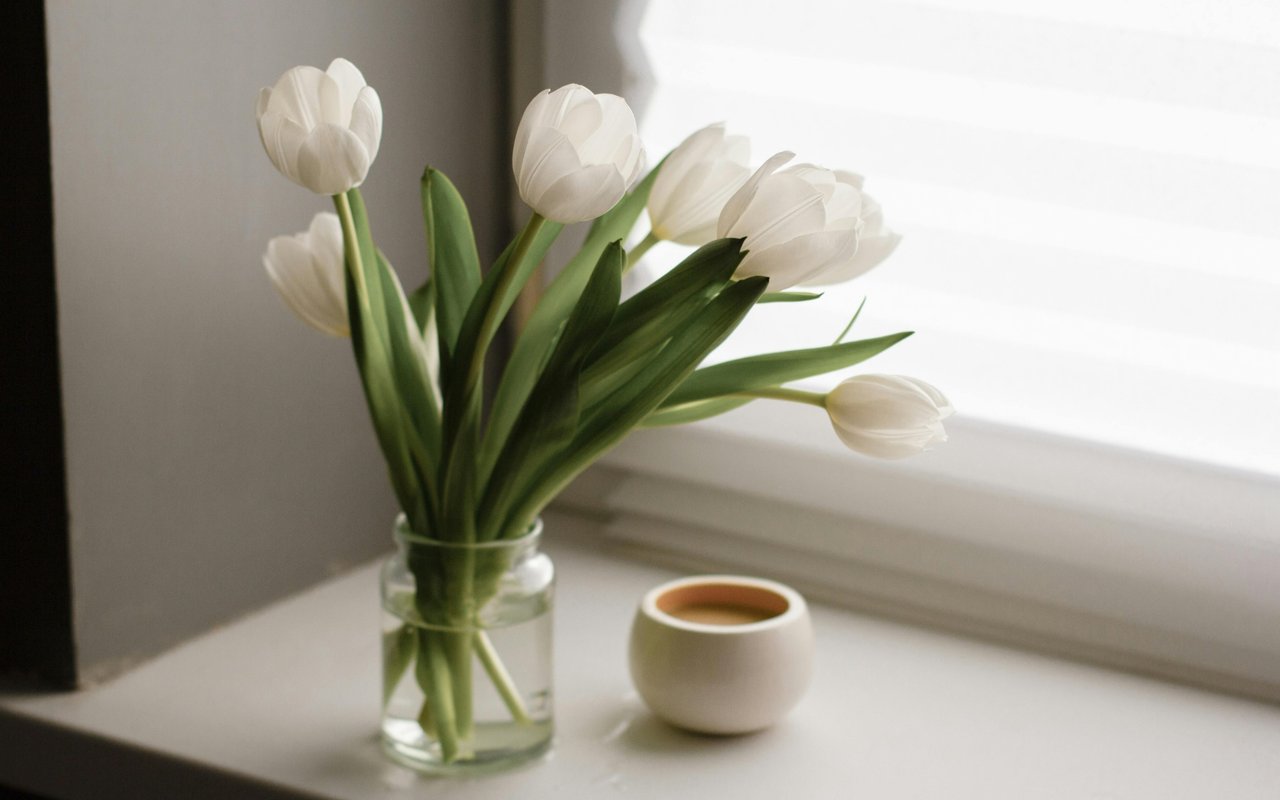 Spring Cleaning: 7 Tips for A Successful Home Refresh