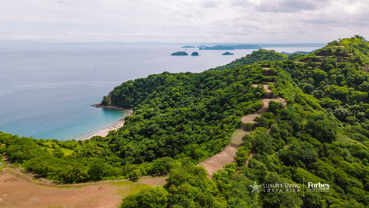 Aerial view of forested residential land with cleared areas overlooking the ocean.