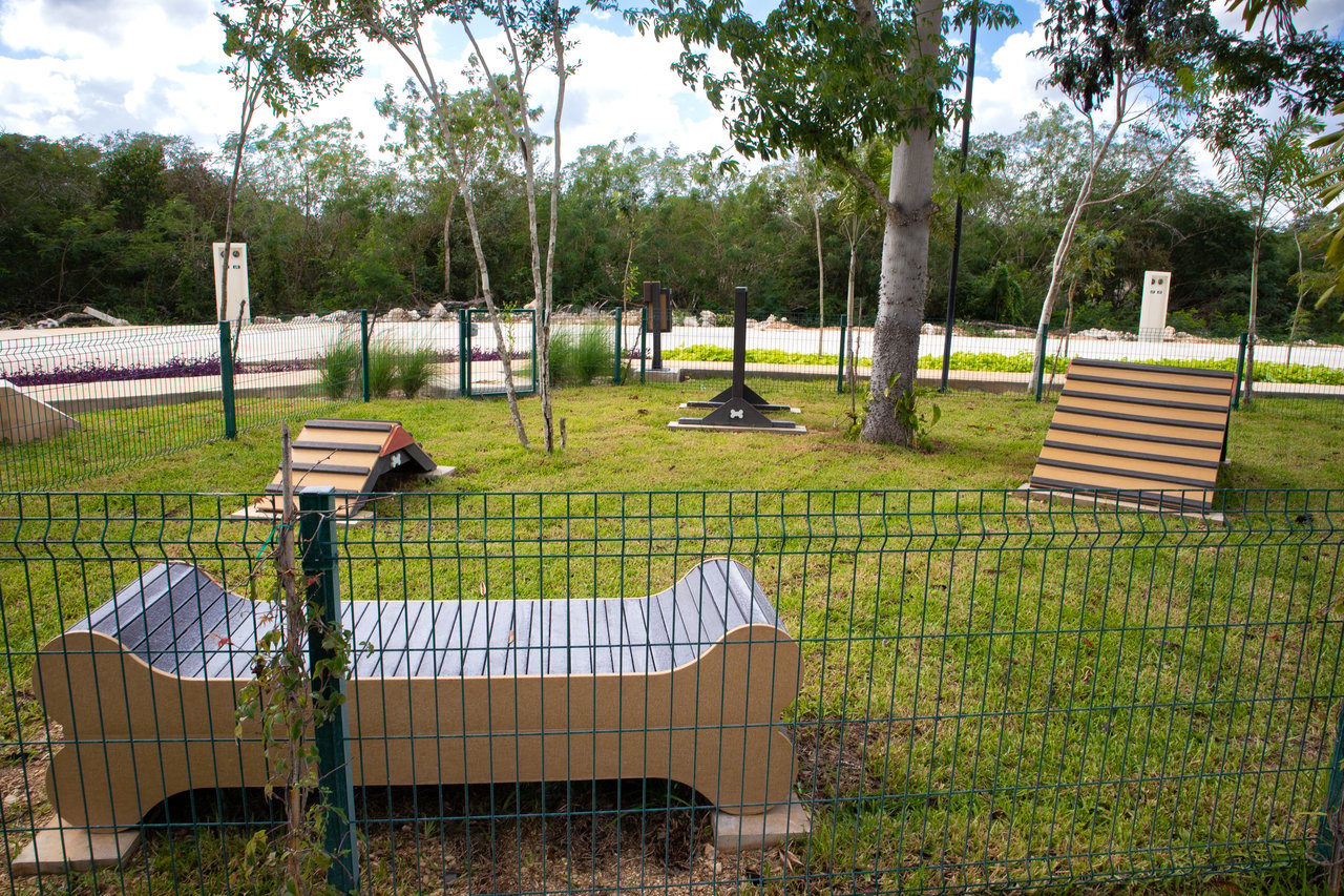 Campo Magno