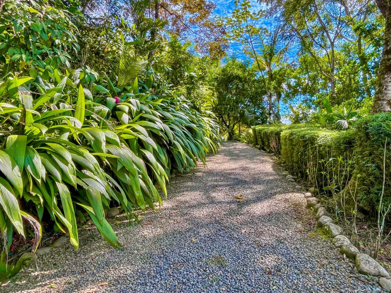 2.35 ACRES- 2 Bedroom Colorful Jungle Home With Ocean Views, Privacy, Room To Build More, Only 10 Min To Dominical!!!