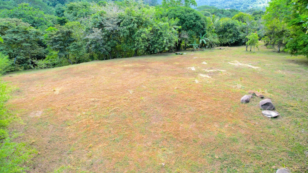 COSTA RICA LAND FOR SALE | LARGE FLAT PRIVATE PROPERTY WITH MOUNTAIN VIEWS, RIVER & FRUIT TREES