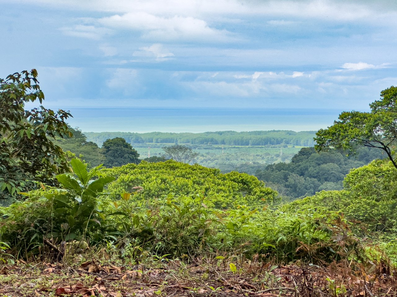 Beautiful 2 Acre Ocean View Lot inset into nature