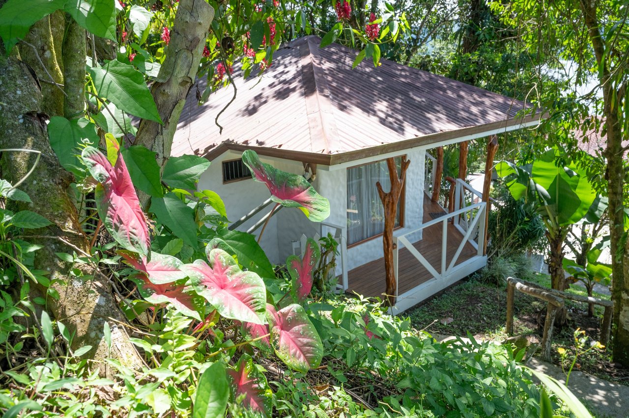 Casa Blanca | Multi-Villa Estate with Lake Views - Nuevo Arenal