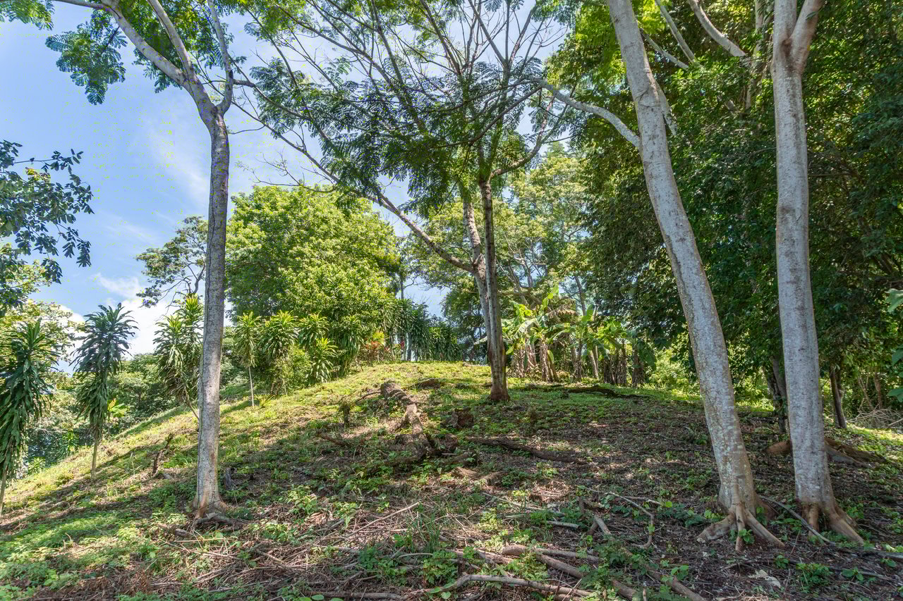 La Reserva Camaronal Lot 34