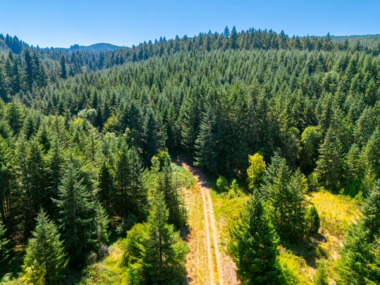Coast Fork Woodland Meadows