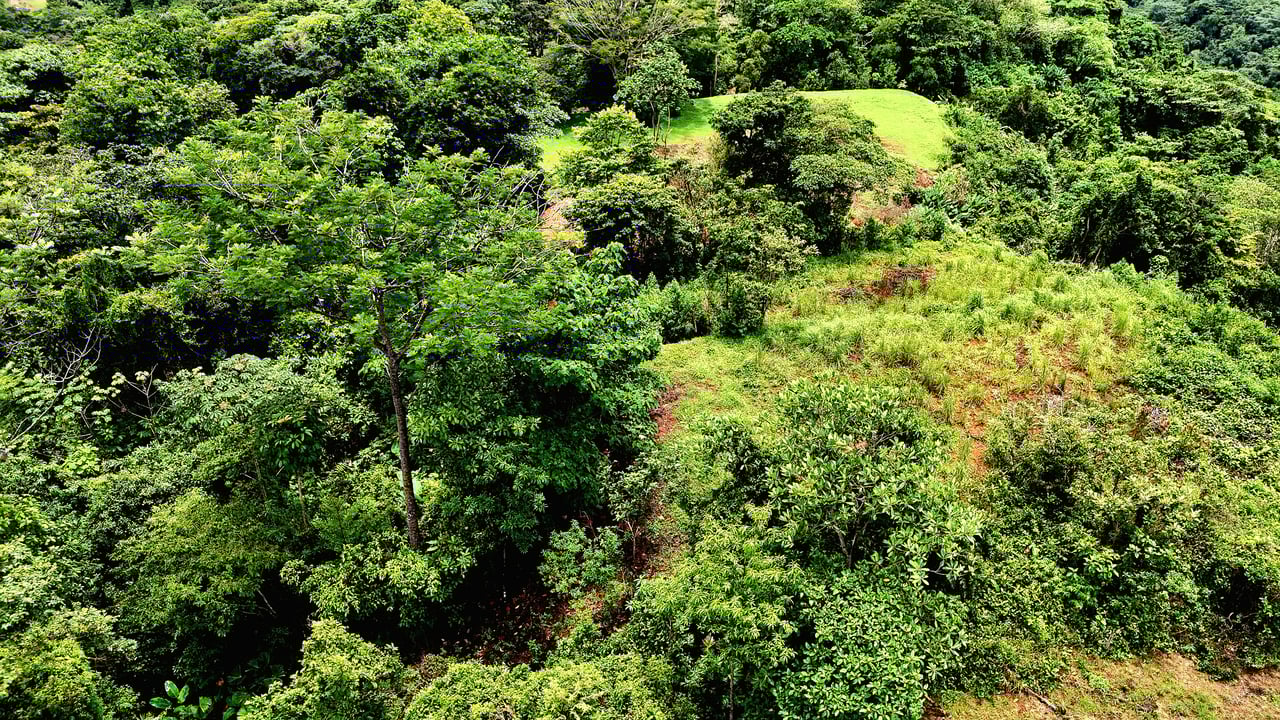 Costa Azul Residential Project - Tres Ríos de Osa, Costa Rica