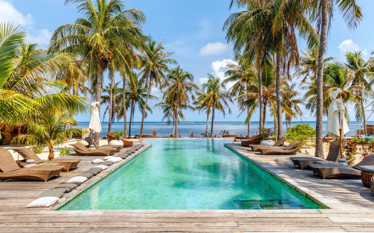 contact-form-background