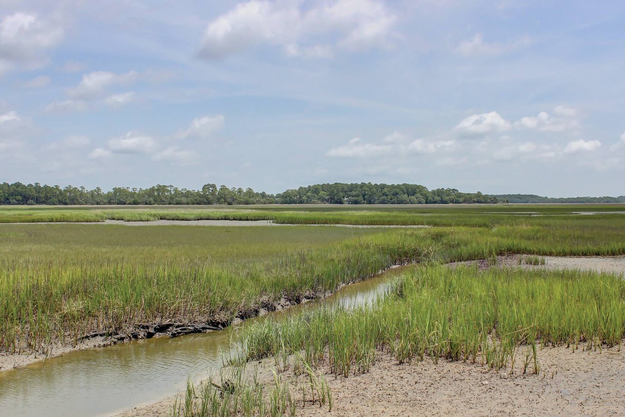 Moss Creek