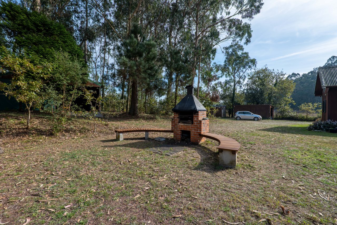 Equestrian Estate in Lavra with 13,000 m² just 800 Meters from the Beach