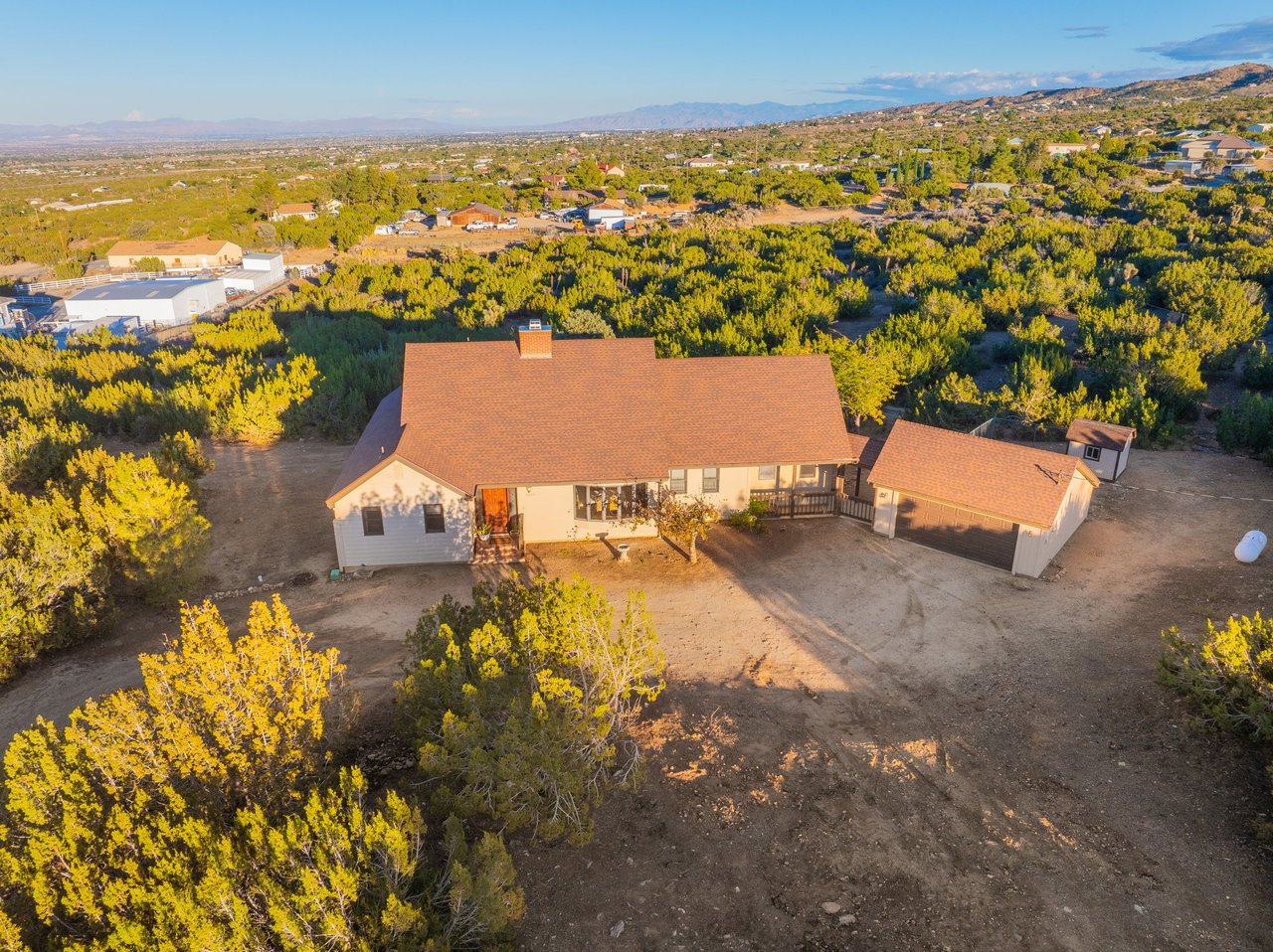 9025 Pine Tree