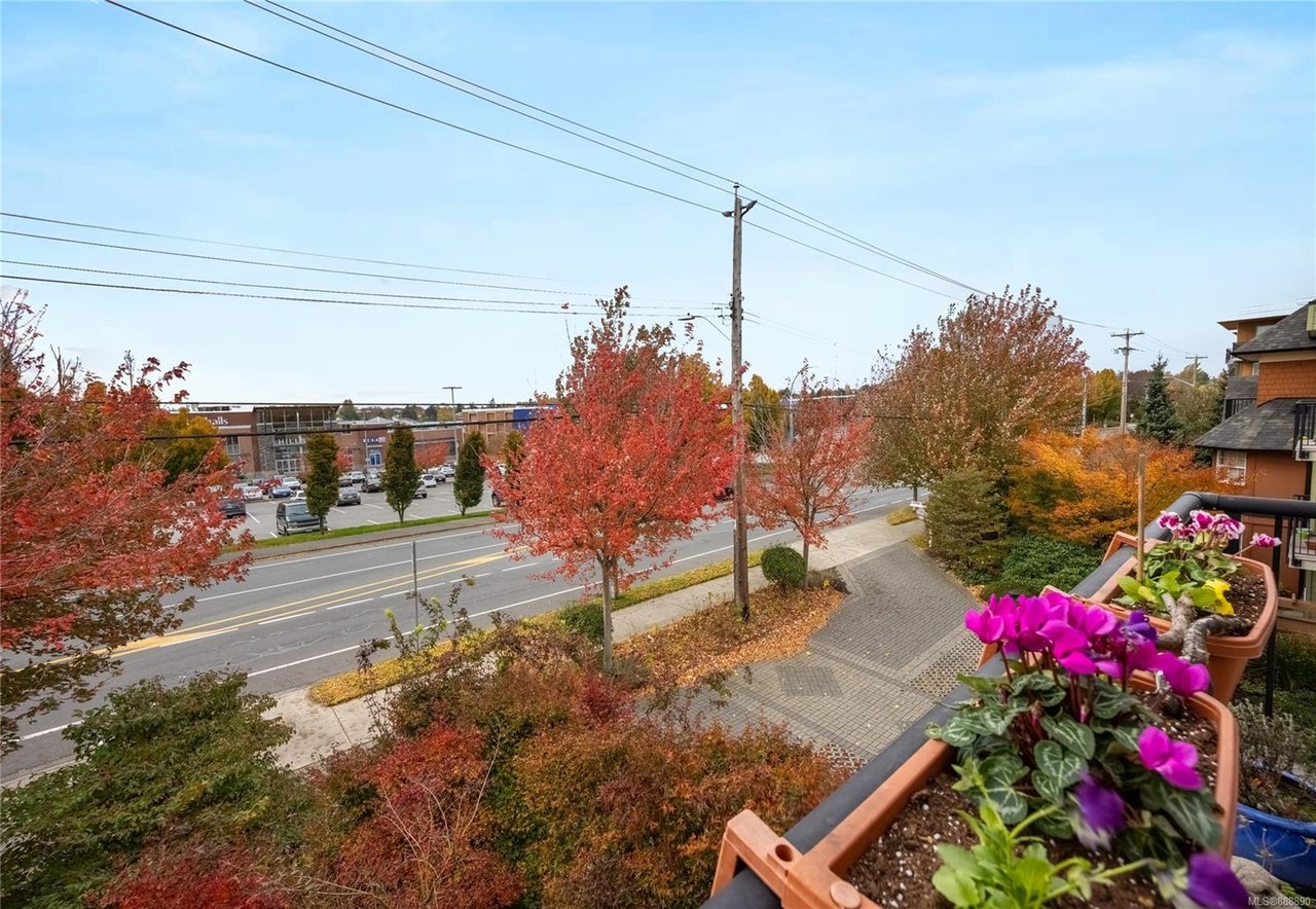 311-1618 N Dairy Rd