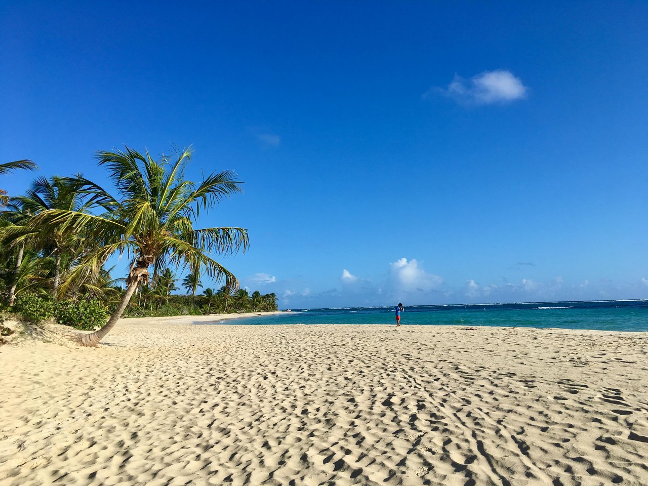 white fine sand beach