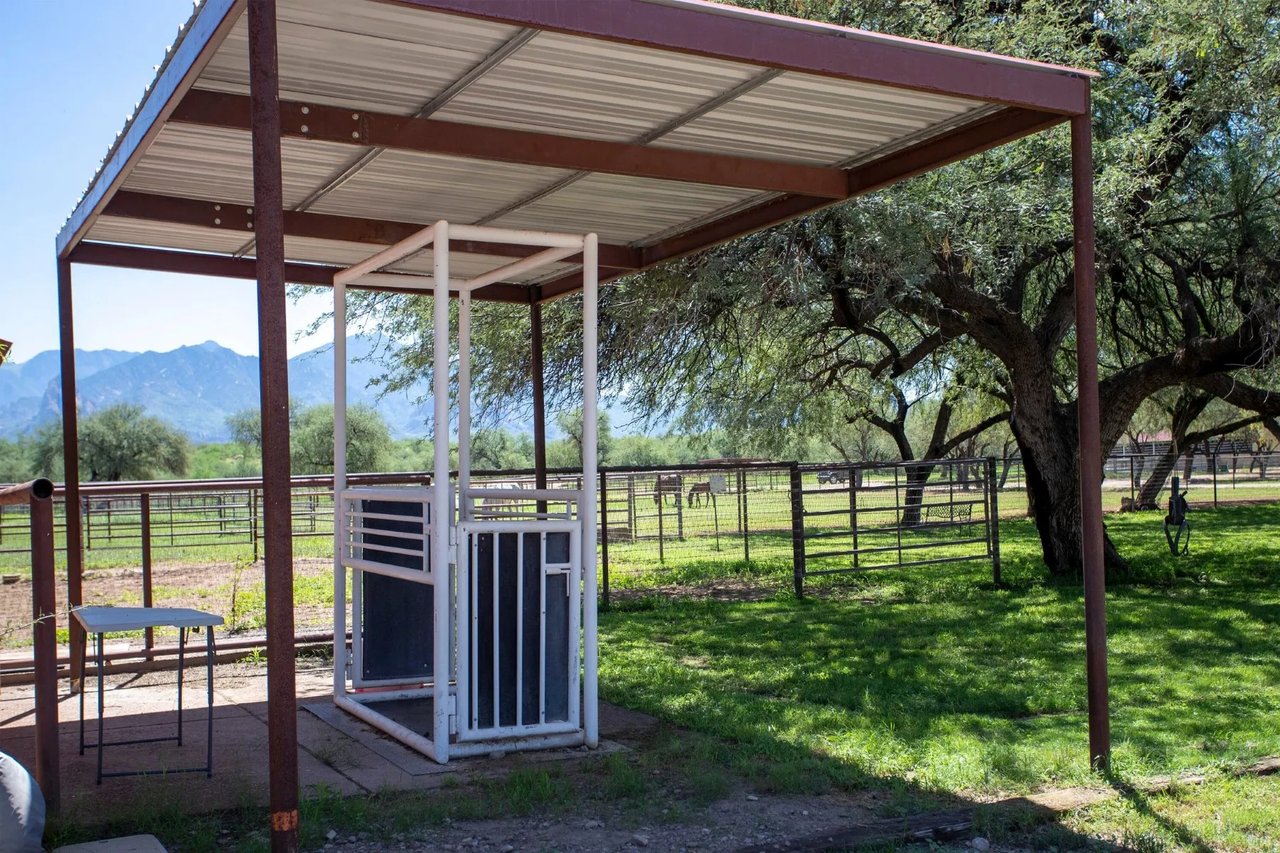 3155 W Elephant Head Rd
