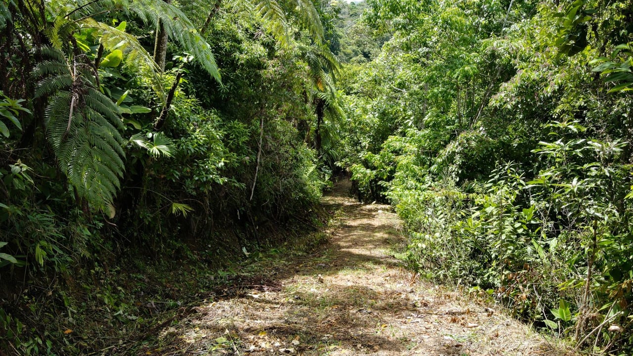 Panoramic Ocean View Lot, Dominical, Puntarenas