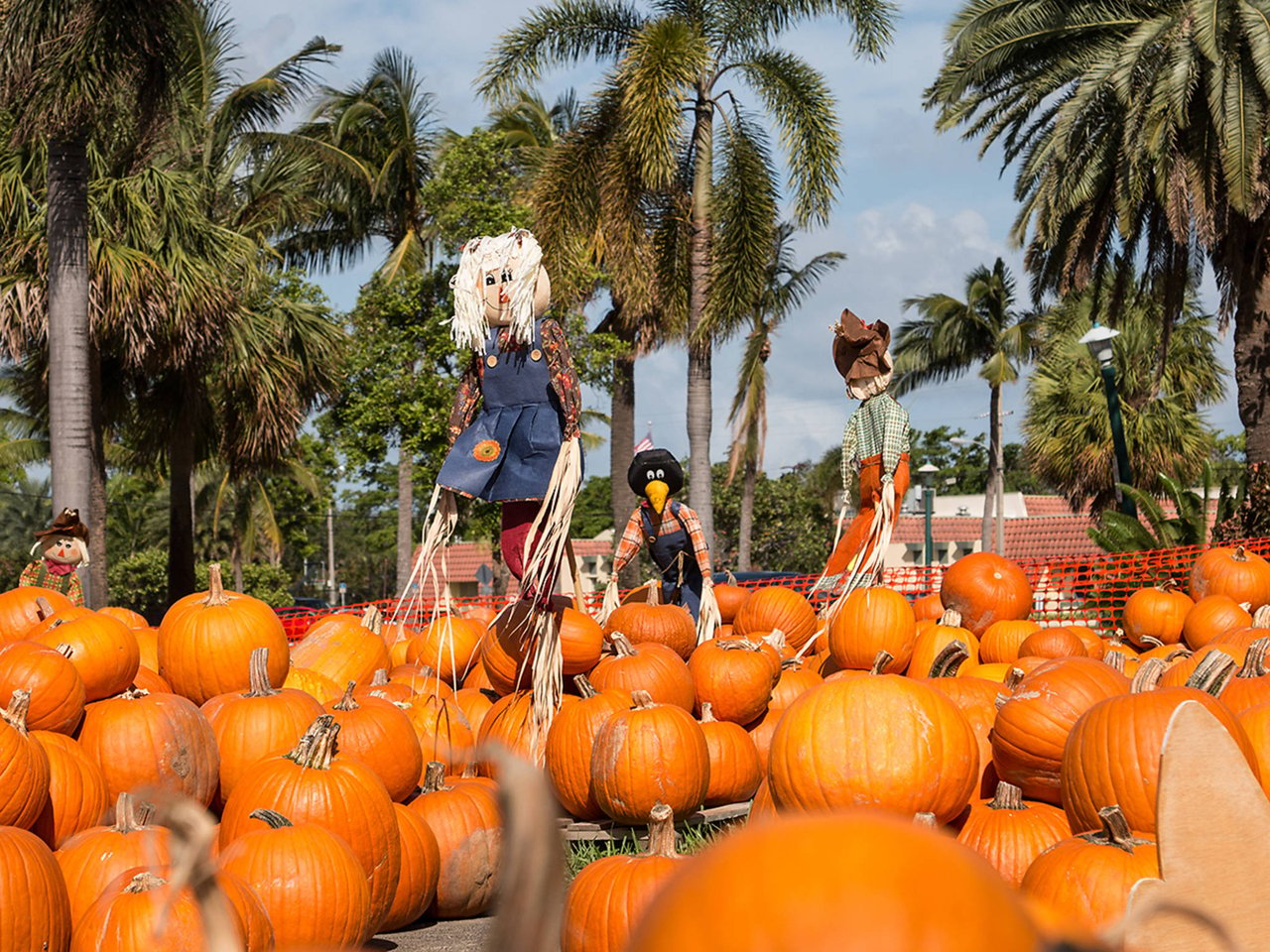 Spooky things to do in Miami