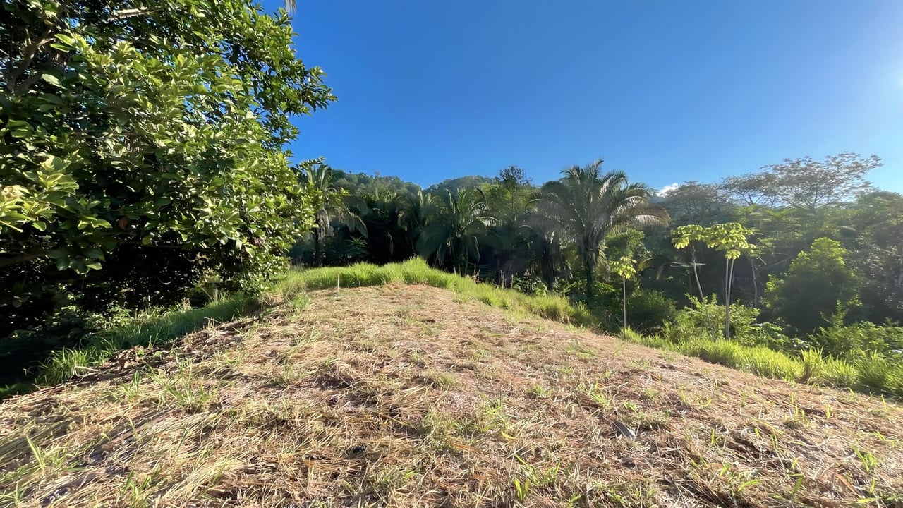  Exclusive Hermosa 1.2 Acre Lot with Panoramic Mountains and Ocean View. 