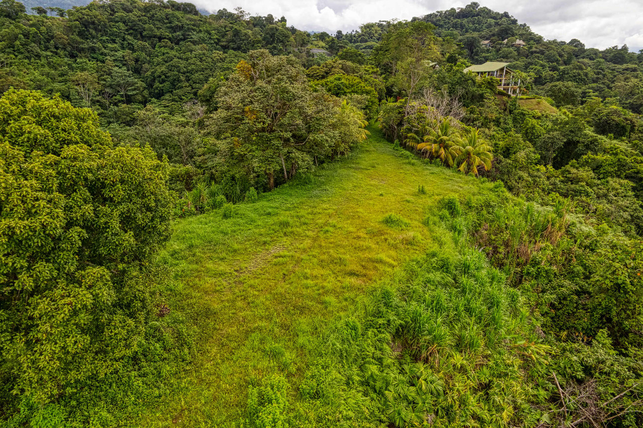 Coronado Estates Development Farm