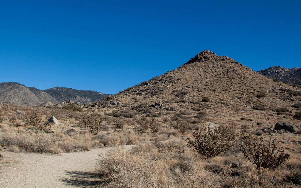 Hiking in Albuquerque