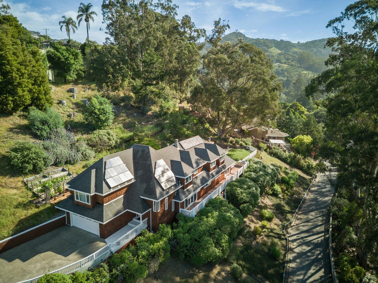 Dominican - Coming Soon