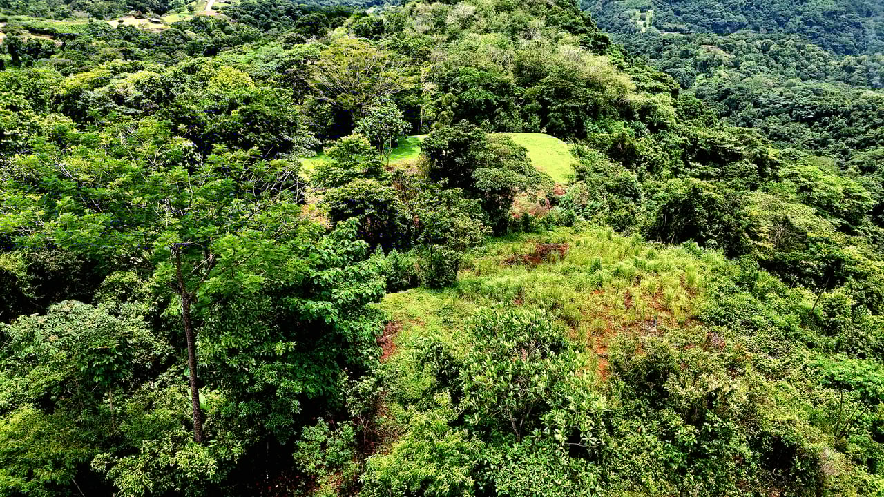 Costa Azul Residential Project - Tres Ríos de Osa, Costa Rica