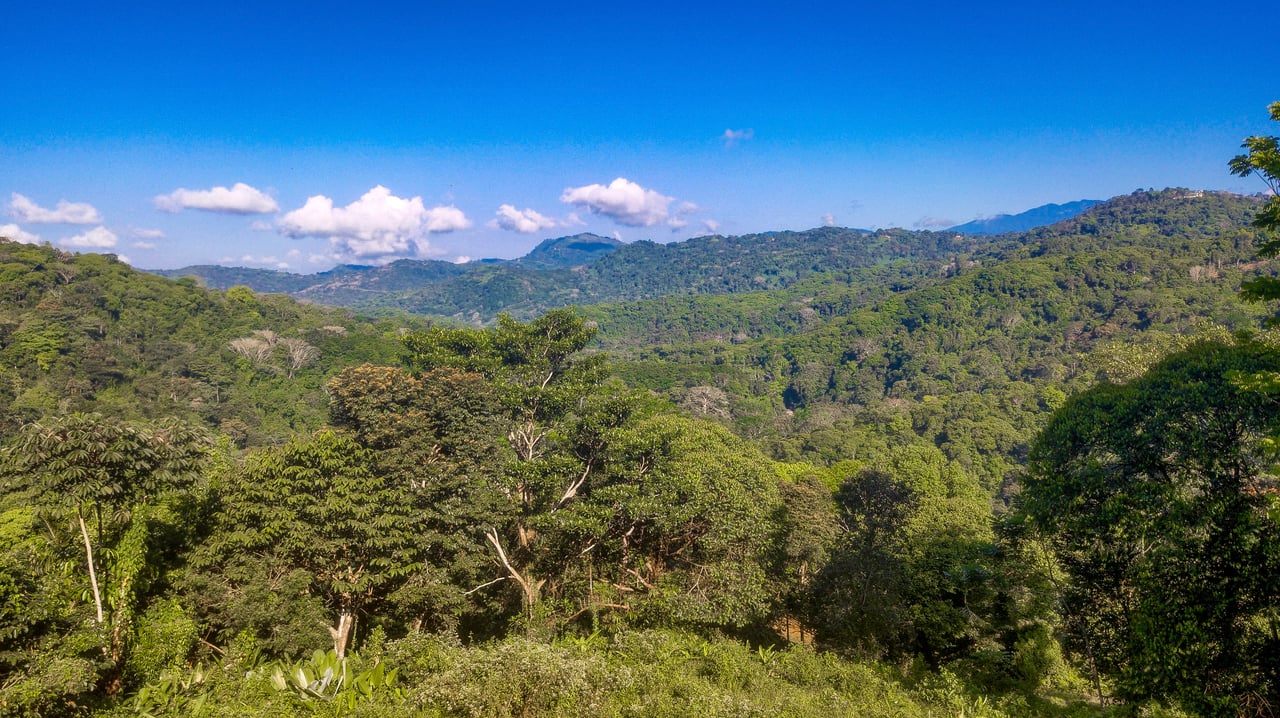 7 ACRES – Mountain Views! Large Building Area, Walking Distance To The Largest Waterfall In The Area, Public Road, Private Setting, Ready To Build, 20Min to Dominical!!