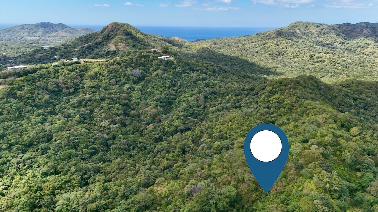 5.67 Hectares in Puerto Viejo | Prime Development Parcel Just 2 Mins from the Beach