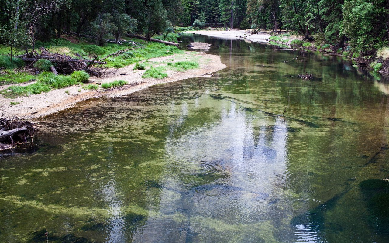 Fish Camp