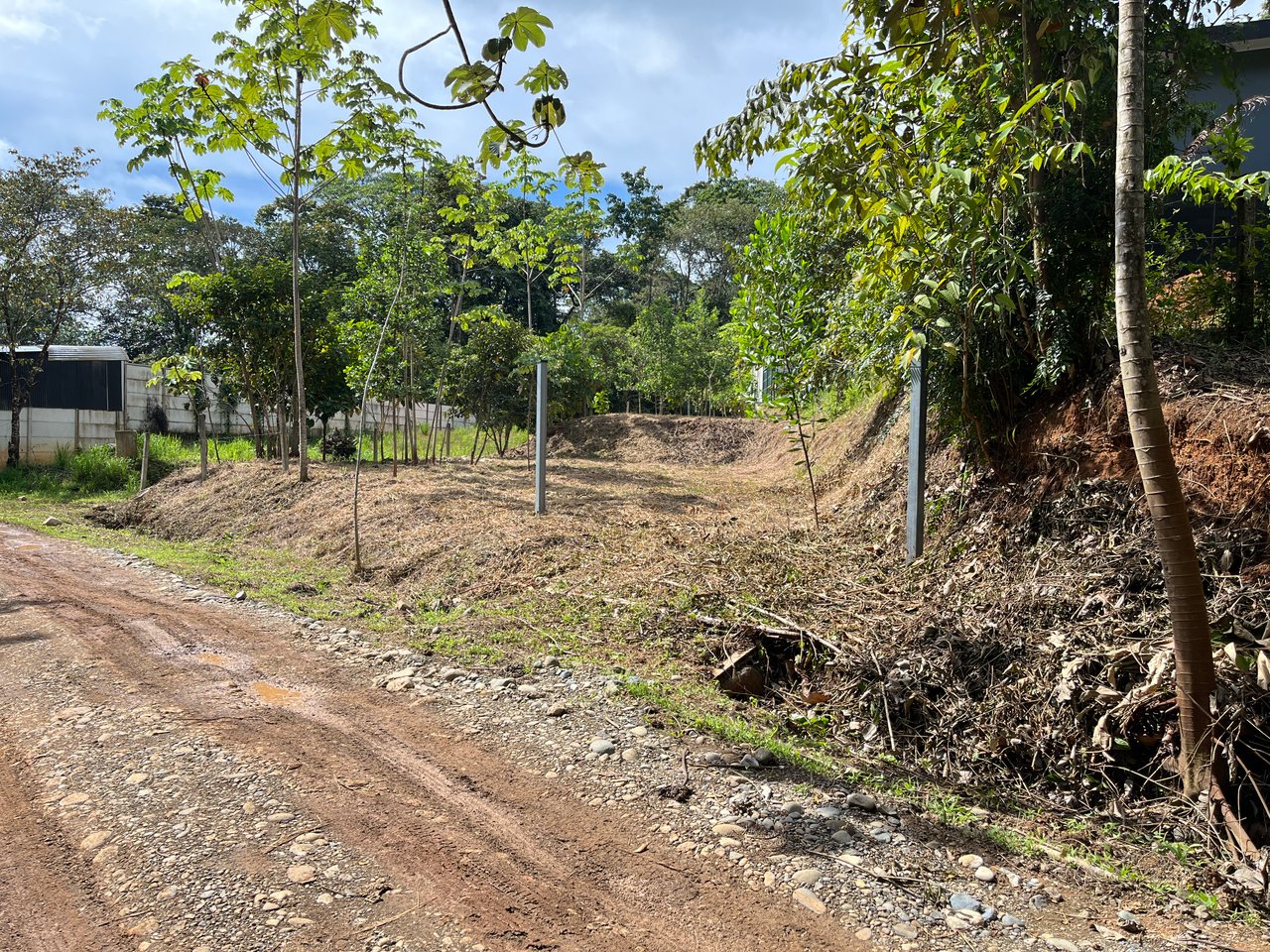 Affordable Uvita Lot UNDER $200-per-sqm - Perfect for Your Dream Home or Airbnb Investment