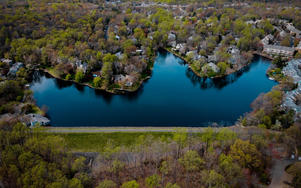 Reston