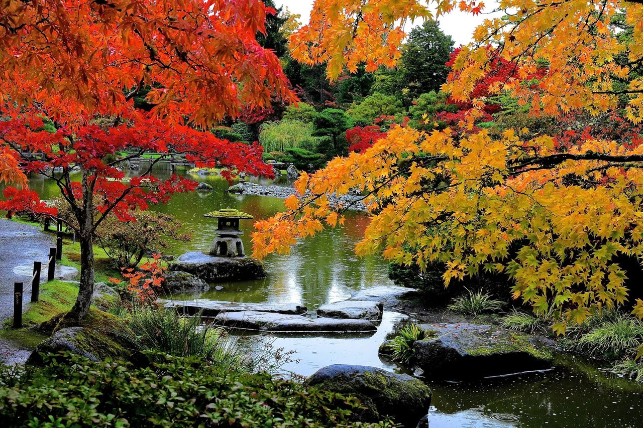 Where to Find the Best Fall Colors Around Greater Seattle