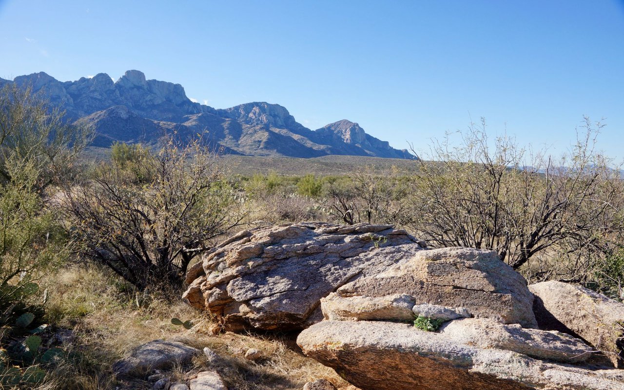 Catalina Foothills