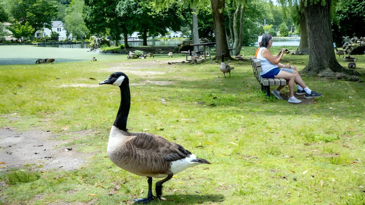 Top-Rated Schools in Long Island, NY