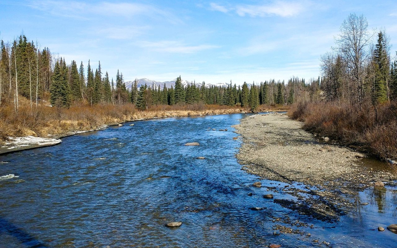 Blue river beside a gravel bank, with forest and snow-dusted mountains beyond.