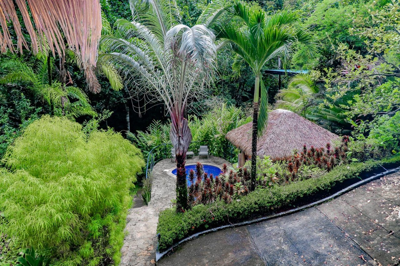 Ojochal Jungle Retreat for Sale with River, Pool, and Income-Generating Casitas
