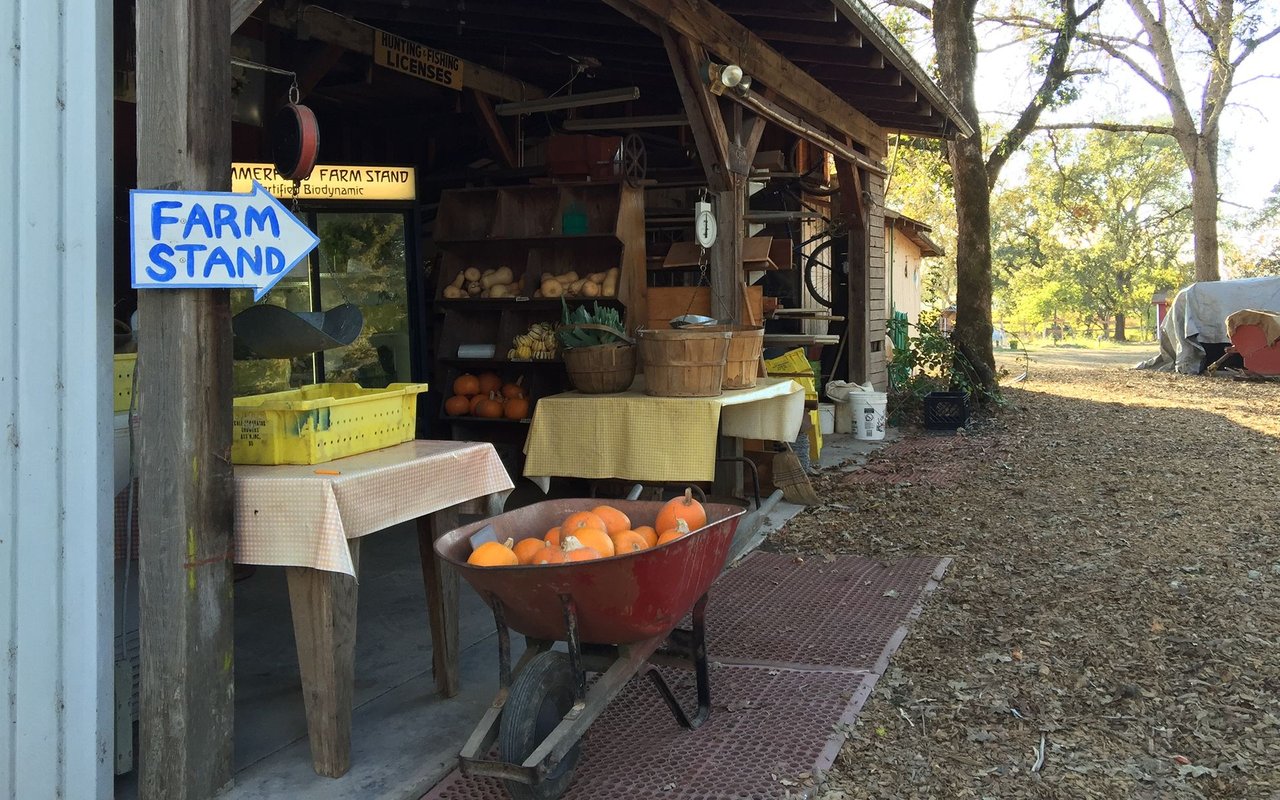 Farm stand displaying pumpkins and produce beneath a blue-and-white FARM STAND sign.