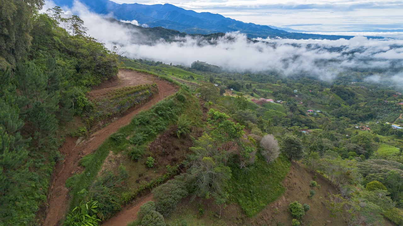 10.21 Acres with Views & Plantels – Pérez Zeledón