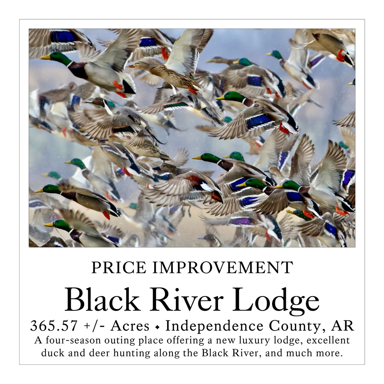 Black River Lodge