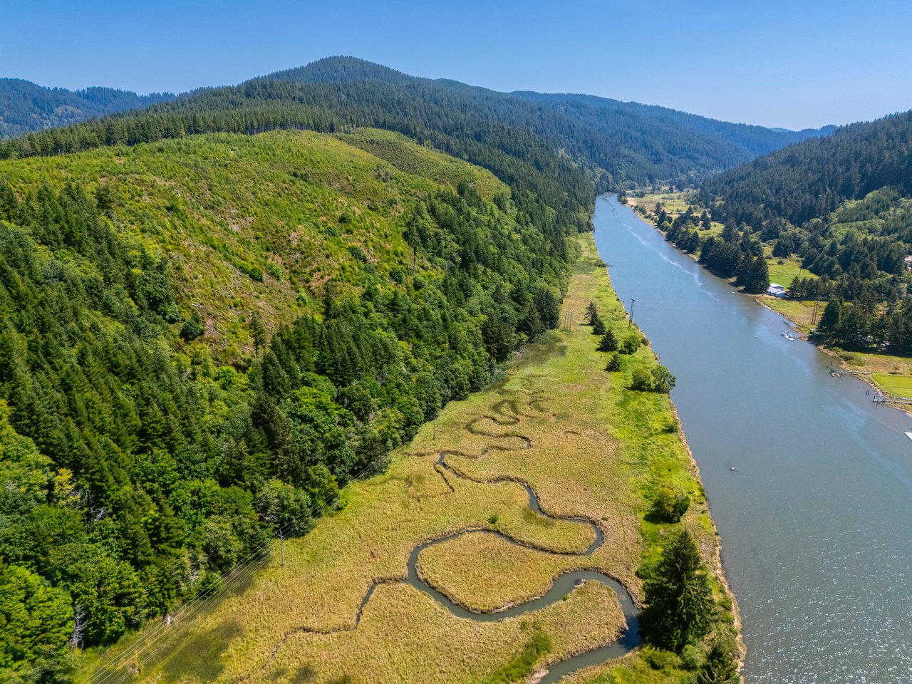 Alsea Estuary Forestland