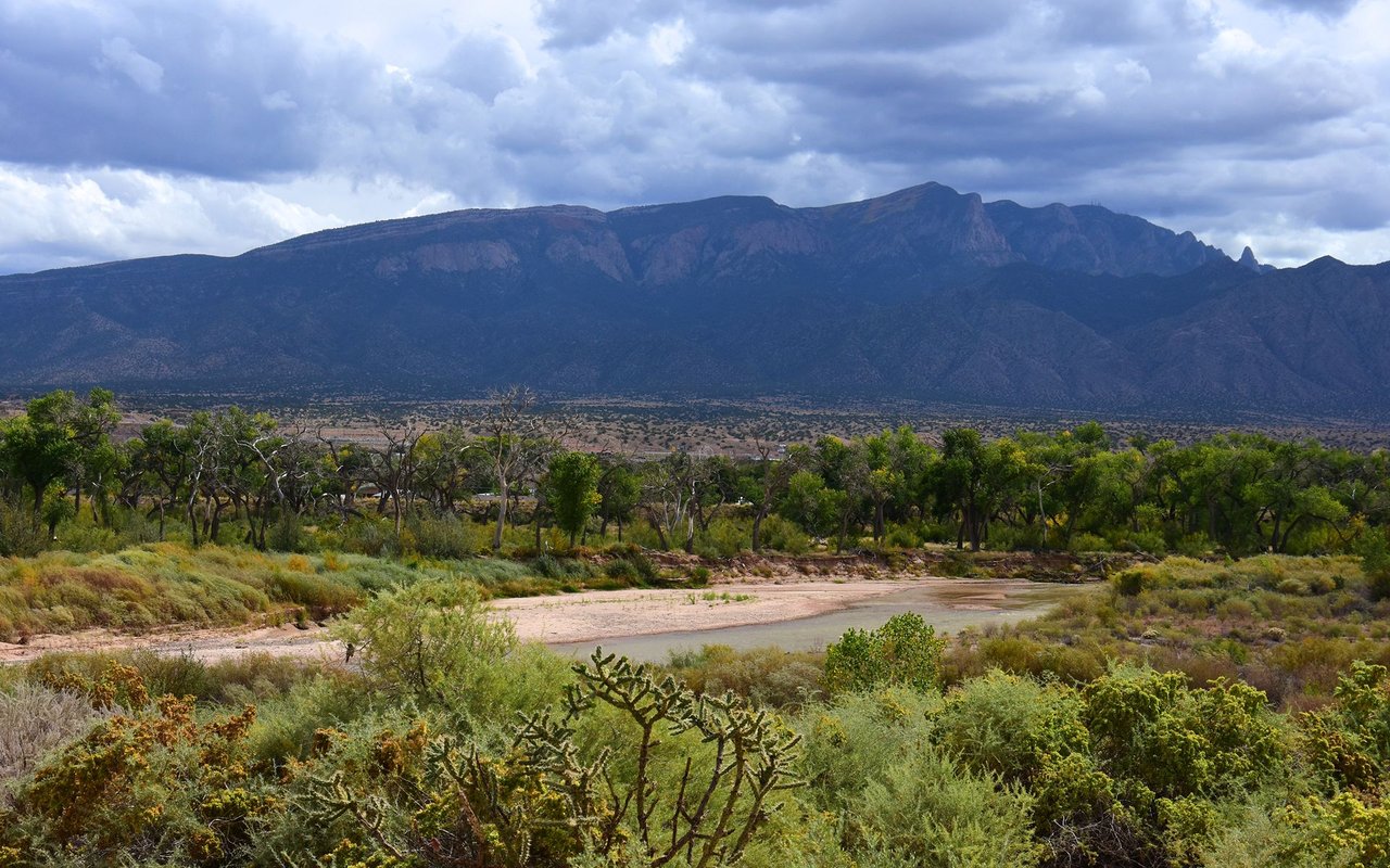 Bernalillo