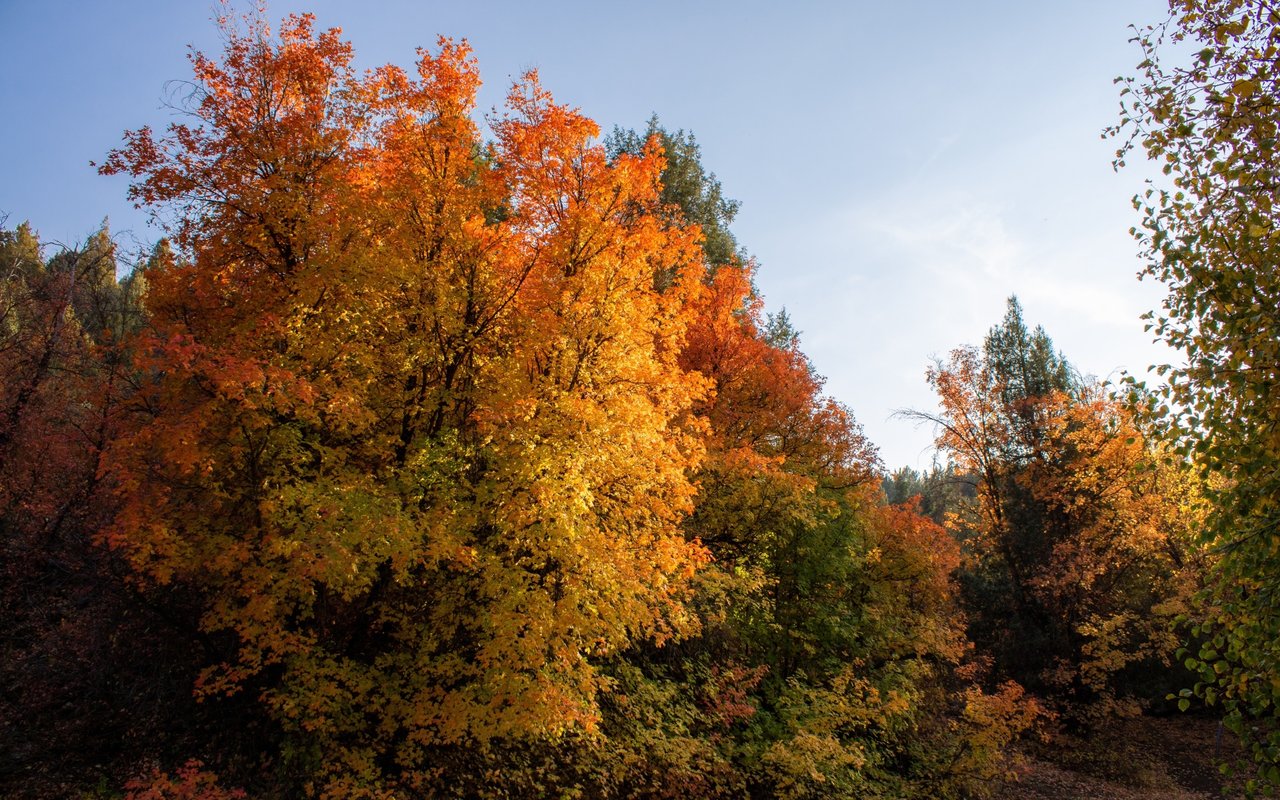 Autumn: The Perfect Time to Visit Incline Village