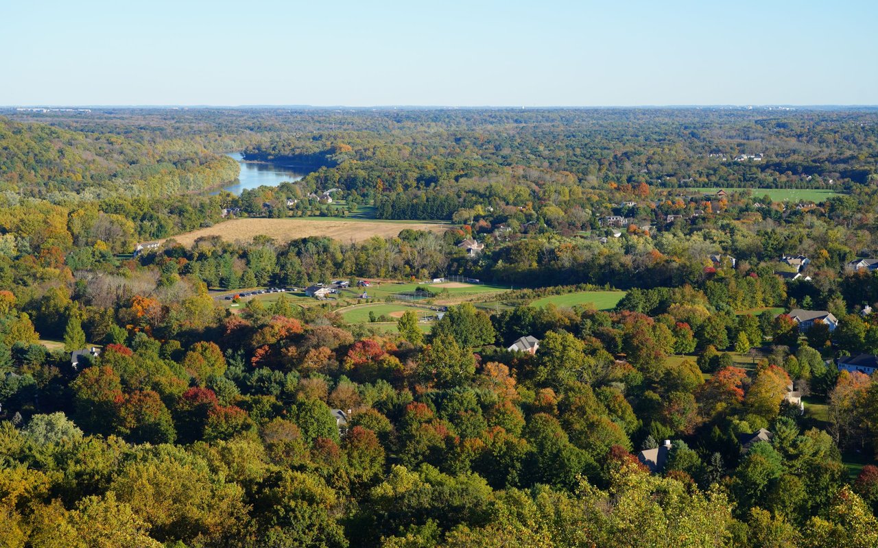 Califon