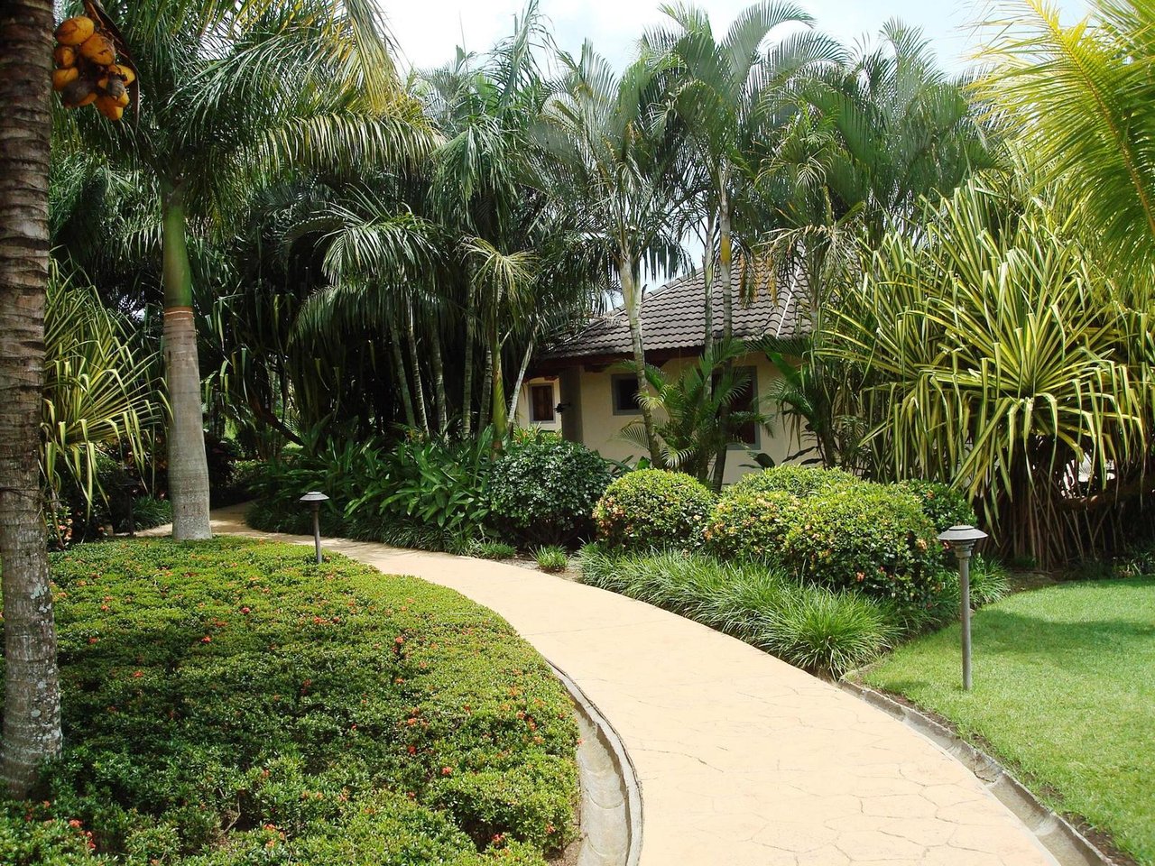 Luxuary Multi-Family Mansion